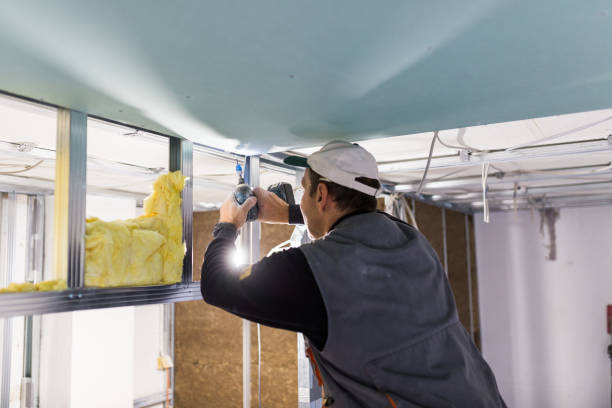 Best Insulation Installation Services in San Pablo, CA